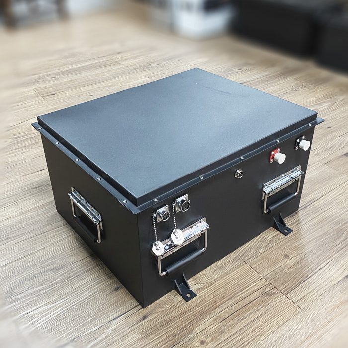 48 volt LSV LiFePo4 battery